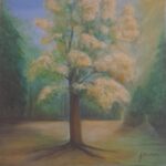 Obraz akrylowy – drzewo w świetle