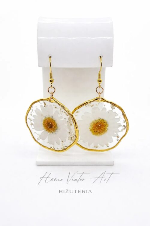 kolczyki margaretka w żywicy złota ramka kwiaty naturalne